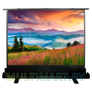 Проекционный экран CACTUS FloorExpert 68x120 (CS-PSFLE-120X68)